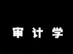 審計學(xué)
